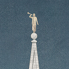 Load image into Gallery viewer, Ben Felix - Salt Lake Temple