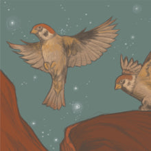 Load image into Gallery viewer, 'Worlds and Sparrows' | Jessica Sarah Beach