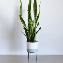 Load image into Gallery viewer, Plant Stand - Gray
